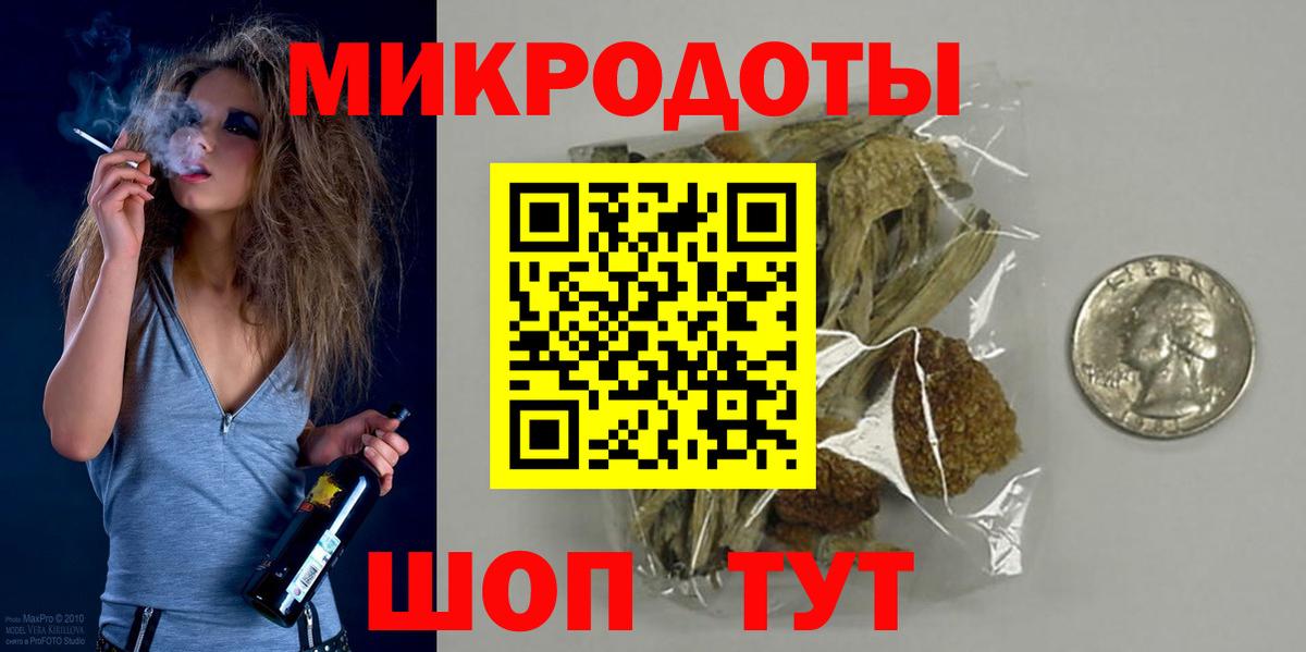 Галлюциногенные грибы Psilocybe Обнинск