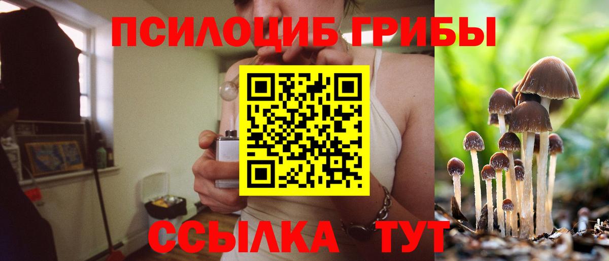 Обнинск  Галлюциногенные грибы прущие грибы  закладки  Галлюциногенные грибы прущие грибы  Вход с VPN 